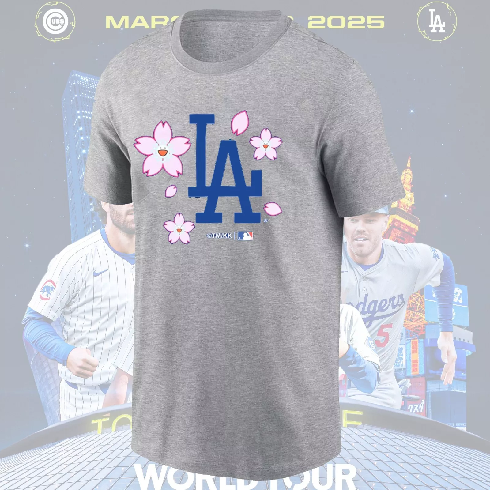 Men Chicago Cubs blank grey 2025 MLB T shirts style 4